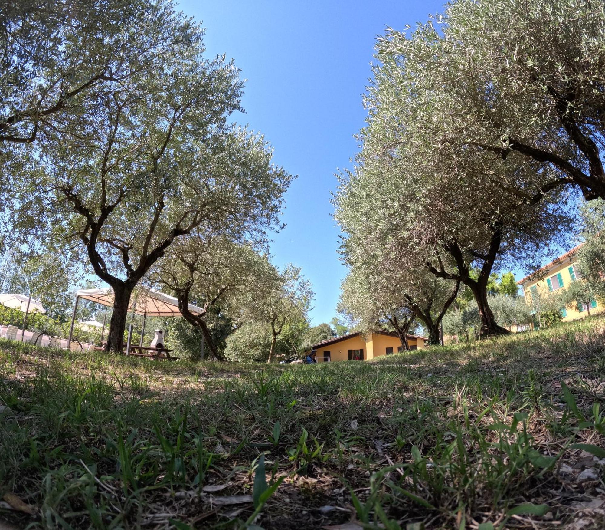 Agriturismo Gardenali Volta Mantovana Habitación foto