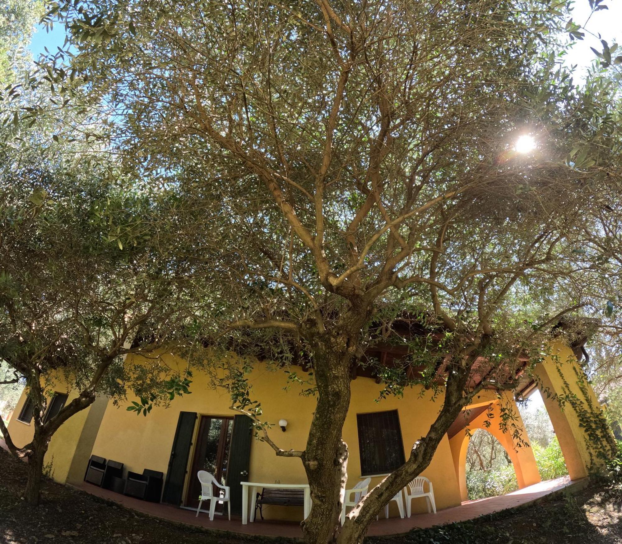 Agriturismo Gardenali Volta Mantovana Habitación foto